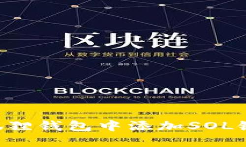 如何在小狐狸钱包中添加SOL链：全面指南