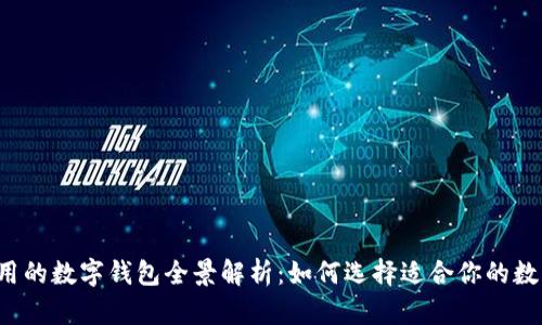 国内可用的数字钱包全景解析：如何选择适合你的数字钱包？