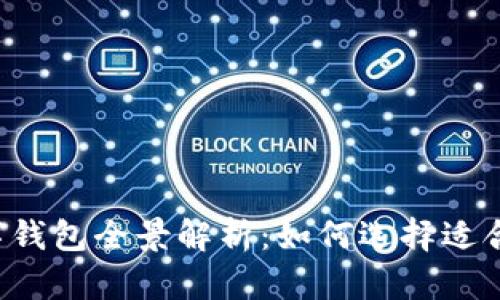 国内可用的数字钱包全景解析：如何选择适合你的数字钱包？