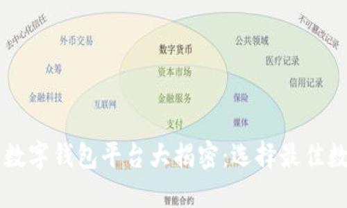 用户量最多的数字钱包平台大揭密：选择最佳数字钱包的指南