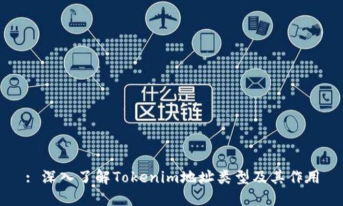: 深入了解Tokenim地址类型及其作用