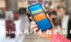 深入了解Tokenim上的PI币：投资、使用与未来展望