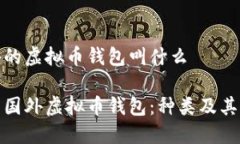 国外的虚拟币钱包叫什么探索国外虚拟币钱包：