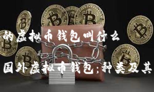 国外的虚拟币钱包叫什么

探索国外虚拟币钱包：种类及其优势