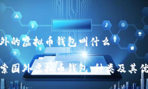 国外的虚拟币钱包叫什么

探索国外虚拟币钱包：种类及其优势