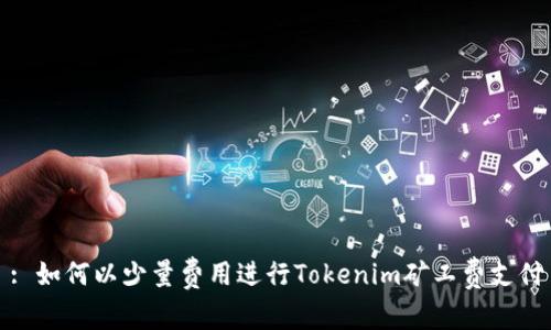 : 如何以少量费用进行Tokenim矿工费支付