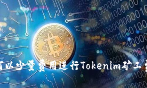 : 如何以少量费用进行Tokenim矿工费支付