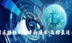 Title: 深入了解区块链钱包中的项目：选择最适合