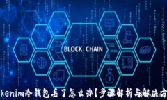 Tokenim冷钱包丢了怎么办？步骤解析与解决方案