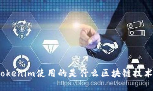 Tokenim使用的是什么区块链技术？