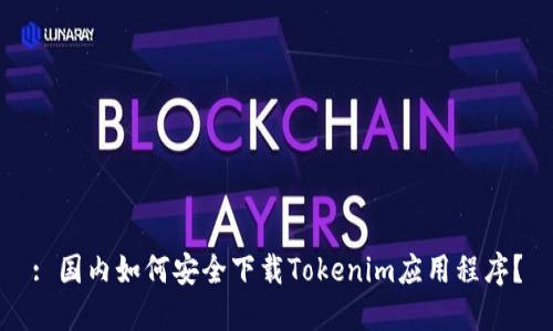 : 国内如何安全下载Tokenim应用程序？