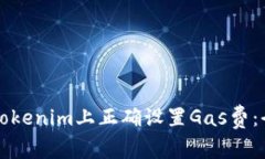 如何在Tokenim上正确设置Gas费：全面指南