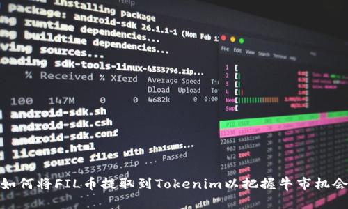 如何将FIL币提取到Tokenim以把握牛市机会