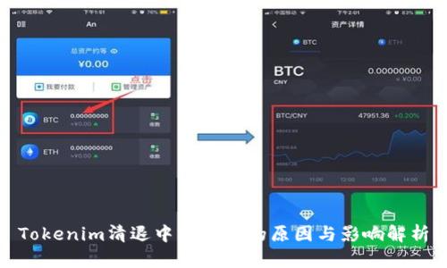 Tokenim清退中国市场的原因与影响解析