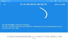 如何找回Tokenim钱包密码：详尽指南