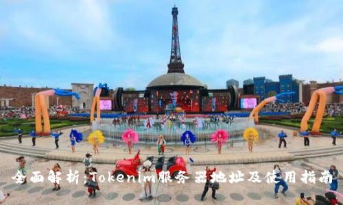 全面解析：Tokenim服务器地址及使用指南