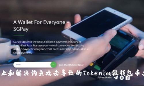  如何防止和解决钓鱼攻击导致的Tokenim假钱包币丢失问题