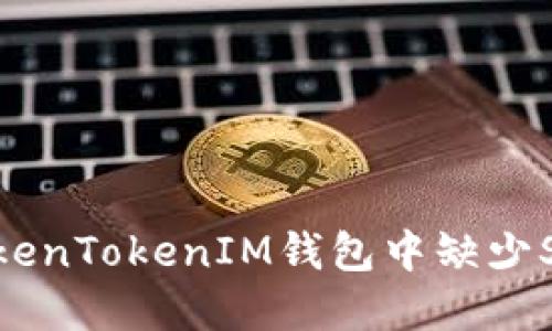  如何解决TokenTokenIM钱包中缺少SINO币的问题