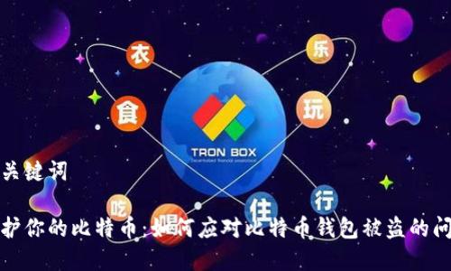 和关键词

保护你的比特币：如何应对比特币钱包被盗的问题