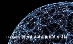 Tokenim：潜力巨大的区块链项目详解