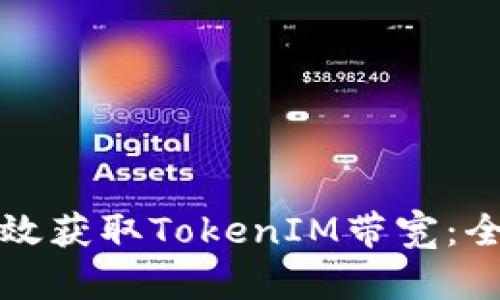 如何高效获取TokenIM带宽：全面指南
