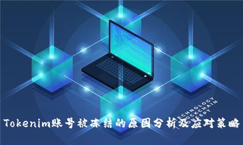 Tokenim账号被冻结的原因分析及应对策略