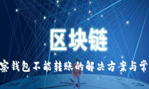 Tokenim观察钱包不能转账的解决方案与常见问题分析