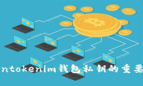 深入了解Tokentokenim钱包私钥的重要性与安全策略