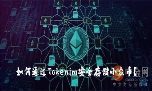 如何通过Tokenim安全存储小众币？