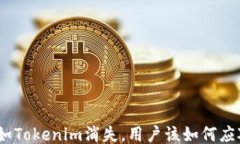假如Tokenim消失，用户该如何应对?