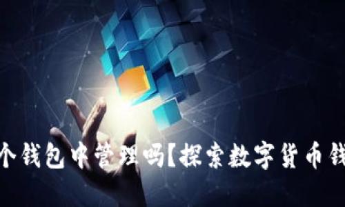 一个Token可以在多个钱包中管理吗？探索数字货币钱包的多重策略与应用