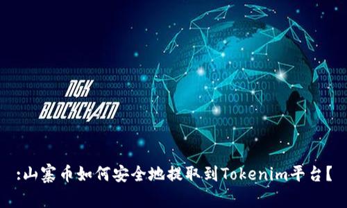 :山寨币如何安全地提取到Tokenim平台？
