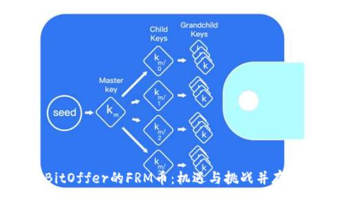 深入解析BitOffer的FRM币：机遇与挑战并存的投资选择