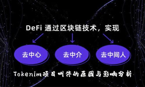 Tokenim项目叫停的原因与影响分析
