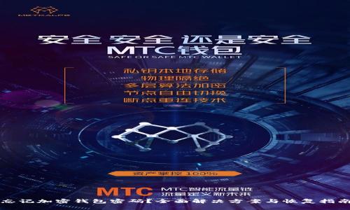 忘记加密钱包密码？全面解决方案与恢复指南