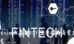 如何在Tokenim上存储BSV：完整指南与常见问题解答