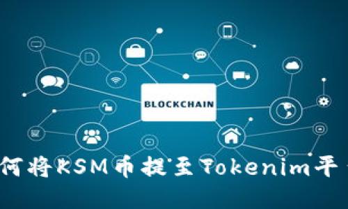 如何将KSM币提至Tokenim平台？