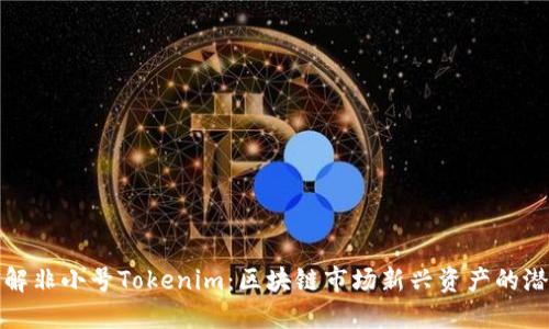 : 深入理解非小号Tokenim：区块链市场新兴资产的潜力与应用