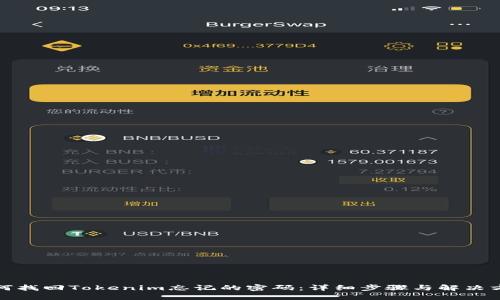 如何找回Tokenim忘记的密码：详细步骤与解决方案