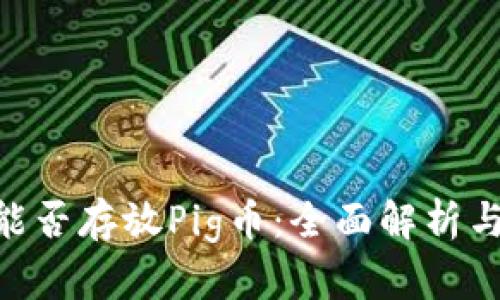 Tokenim能否存放Pig币：全面解析与使用指南