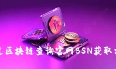 如何通过区块链查询官网BSN获取相关信息