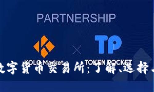 全球最大数字货币交易所：了解、选择与投资风险