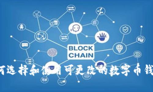 如何选择和使用可更改的数字币钱包？