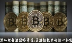 深入理解波场哈希值：区块链技术的核心秘密