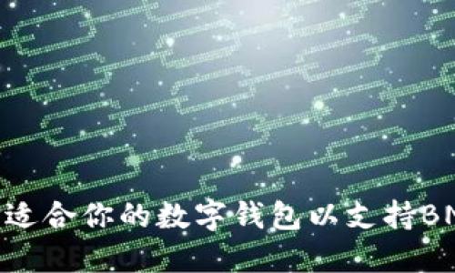 如何选择适合你的数字钱包以支持BNB智能链