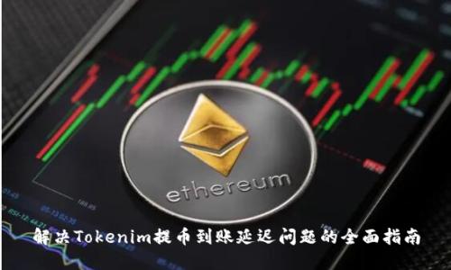 解决Tokenim提币到账延迟问题的全面指南