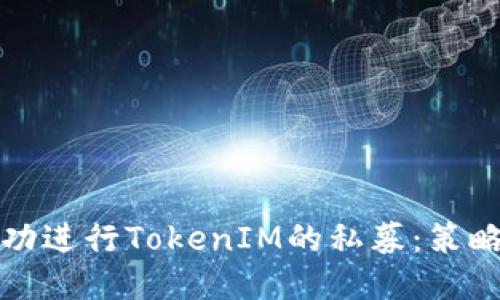如何成功进行TokenIM的私募：策略与技巧