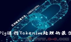 使用Pig进行Tokenim处理的最佳实践