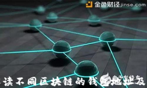 
深入解读不同区块链的钱包地址及其特性
