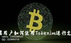 苹果用户如何使用Tokenim进行支付？